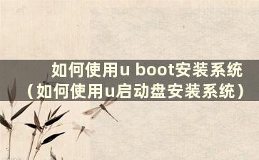 如何使用u boot安装系统（如何使用u启动盘安装系统）